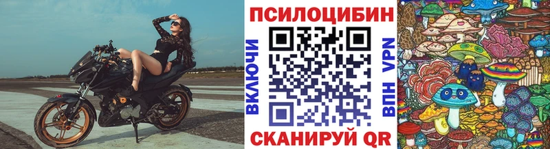 как найти наркотики  Ульяновск  Псилоцибиновые грибы мицелий 